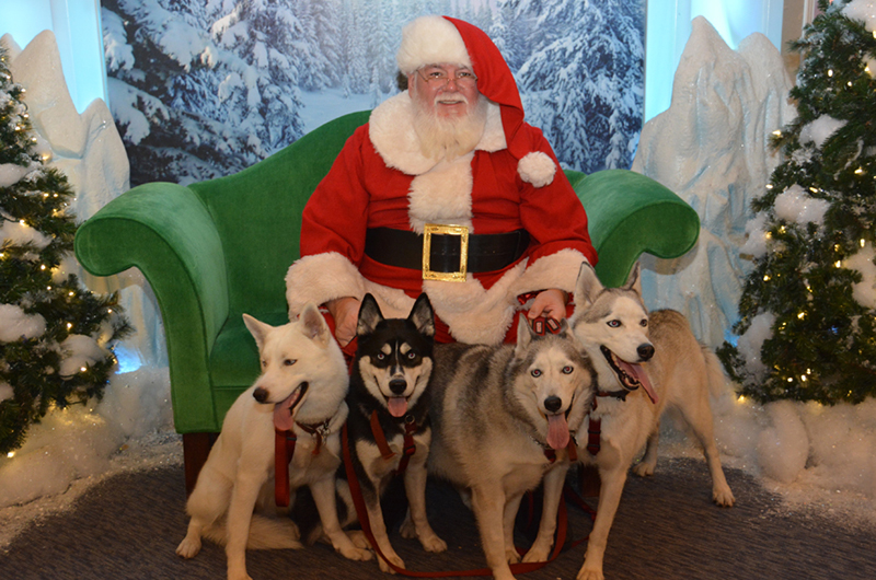 Santa Greets Pets At Wellington Green TownCrier Newspaper