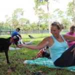 Goat Yoga (12)