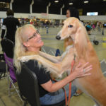 Dog Show (1)