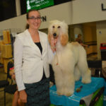 Dog Show (10)