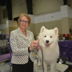 Dog Show (12)