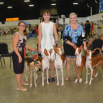 Dog Show (4)