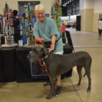 Dog Show (6)