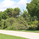 Well Irma Damage (11)