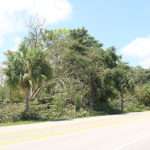 Well Irma Damage (12)