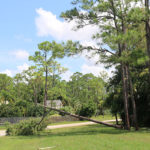 Well Irma Damage (13)