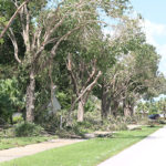 Well Irma Damage (19)