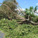 Well Irma Damage (23)