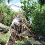 Well Irma Damage (24)