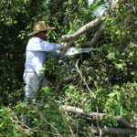 Well Irma Damage (25)