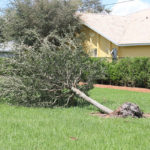 Well Irma Damage (6)