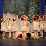 Nutcracker (11)