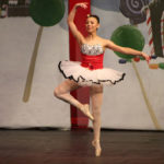 Nutcracker (20)