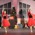 Nutcracker (5)