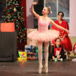 Nutcracker (7)