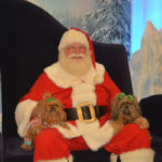 Santa Pets (1)