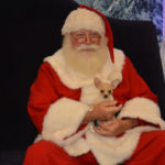 Santa Pets (10)