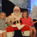 Santa Pets (11)