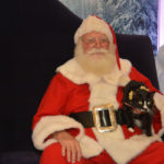 Santa Pets (14)