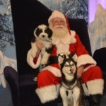 Santa Pets (16)