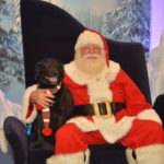 Santa Pets (2)