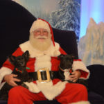 Santa Pets (3)