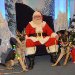 Santa Pets (5)