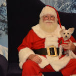 Santa Pets (6)