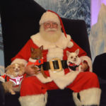 Santa Pets (8)