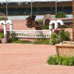 Senior Horse Show (16)