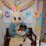 Easter Pawty (20)