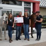 Tractor Supply Horses (3)