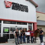 Tractor Supply Horses (6)