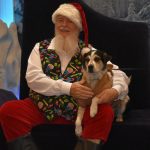 Santa Pets (10)