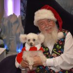 Santa Pets (4)