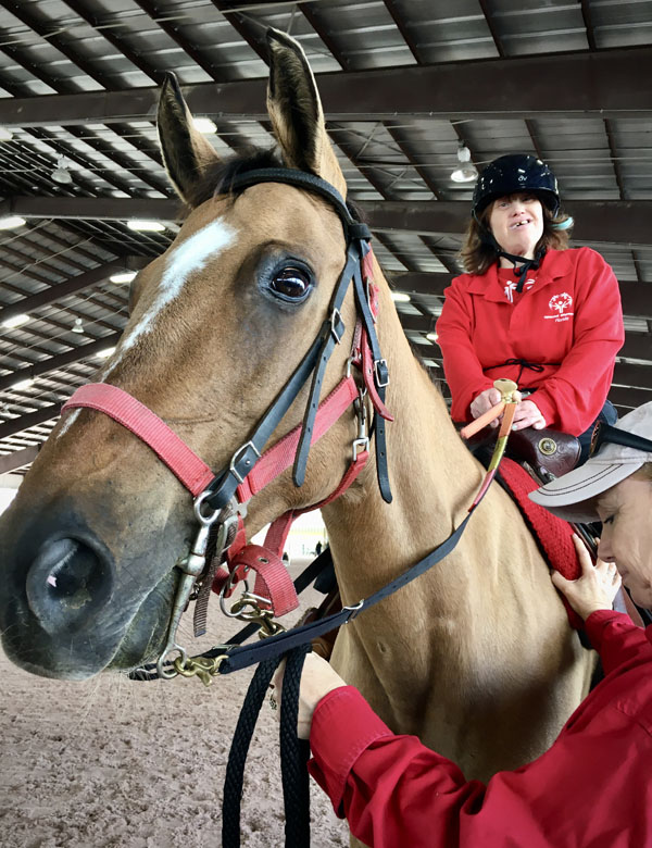 Special Olympics Equestrian Competition In Wellington ...