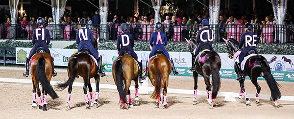 Show jumping with horses - Challenging and fun!