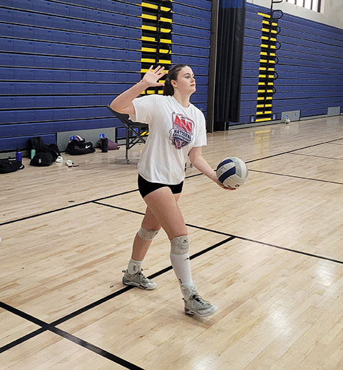 Wellington Girls Volleyball Primed For Another Strong Year - Town