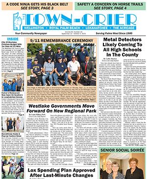 Town and County Issue 22