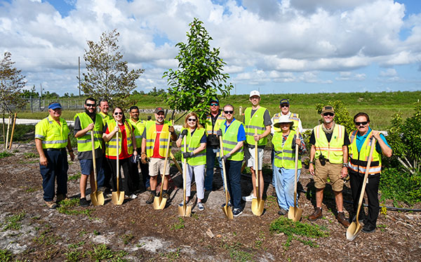 Wellington Community Comes Together To Restore Trees Along Flying Cow Ranch Road